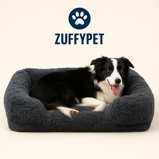 Zuffy's Cozy Bed